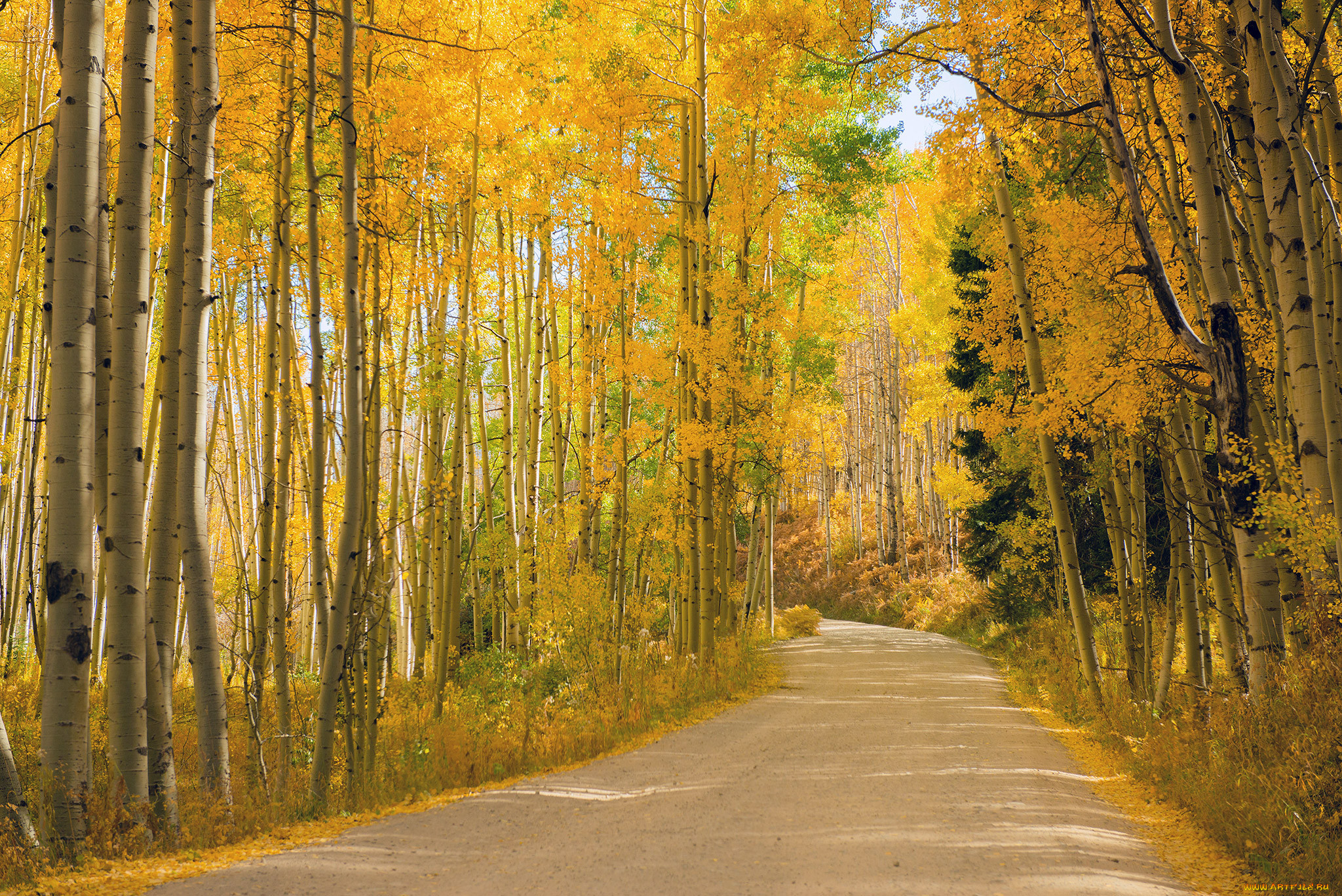 �������, ������, ������